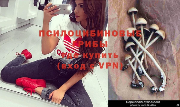стафф Армянск